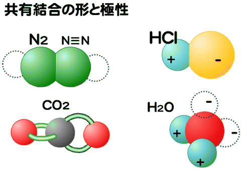 分極・極性と形
